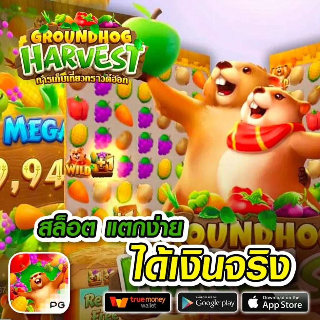SB666 สล็อต เว็บตรง รวมสล็อตแตกง่าย บริการทันใจ 2024