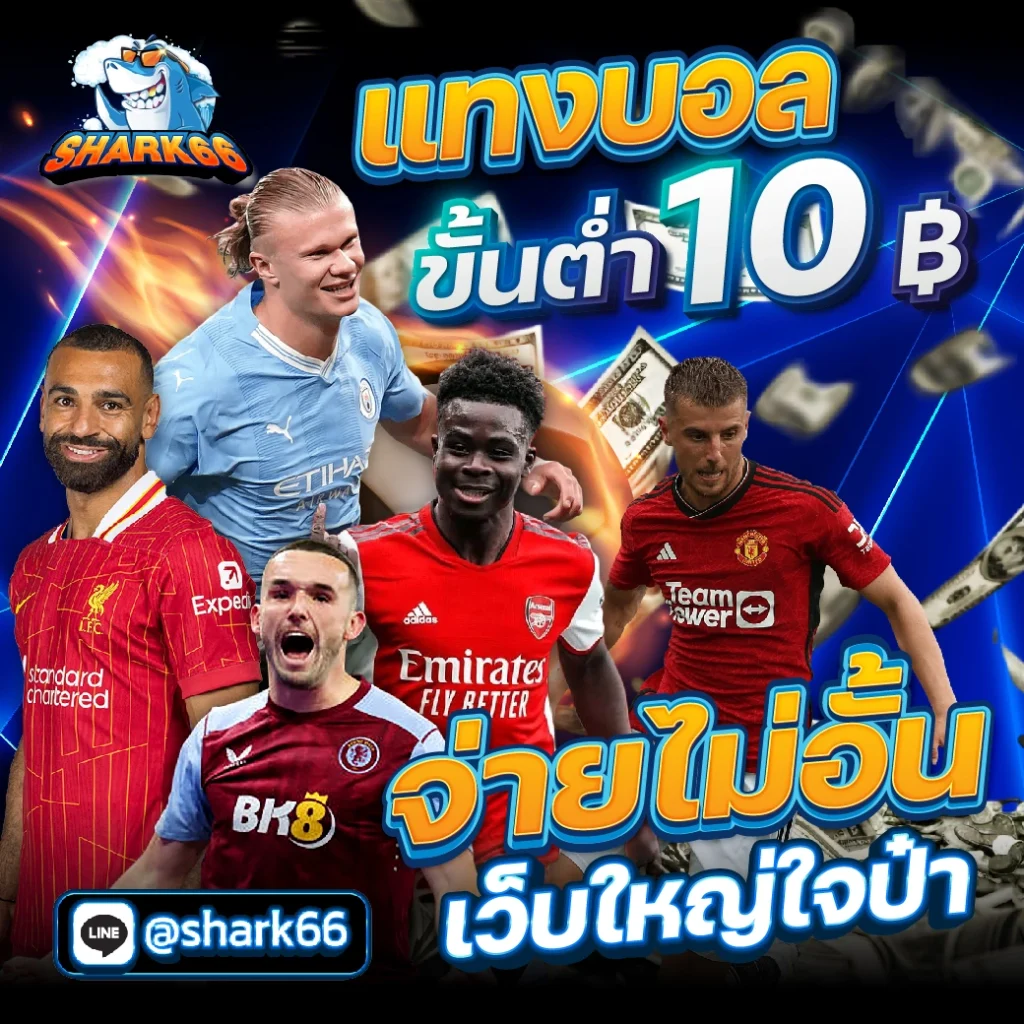 rich คาสิโนอันดับหนึ่งพร้อมโปรโมชั่นสุดคุ้มทุกวัน