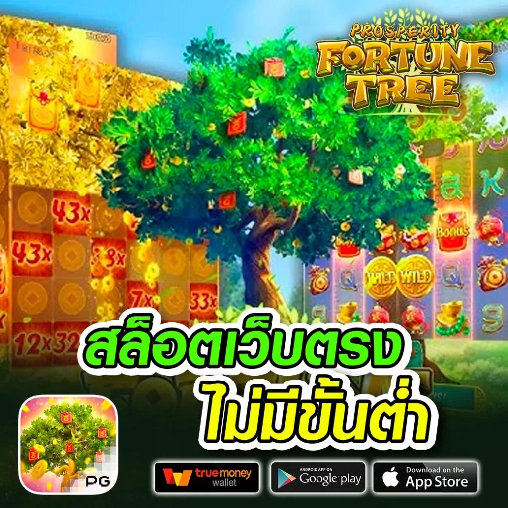 เมก้าเกม1688 บริการคาสิโนออนไลน์เต็มรูปแบบ การันตีความสนุกและโบนัสสุดคุ้ม